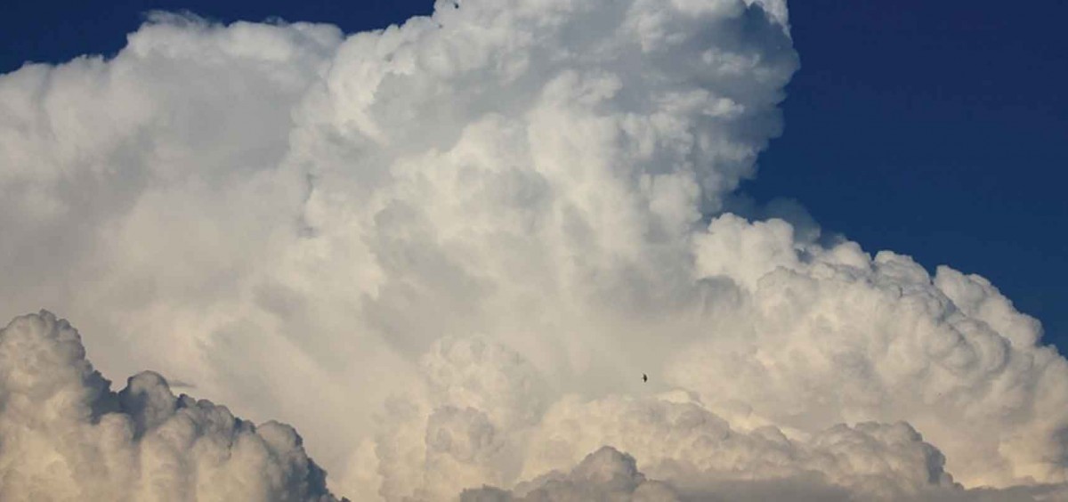 The Basics of Business Forecasting - Why business forecasting is key