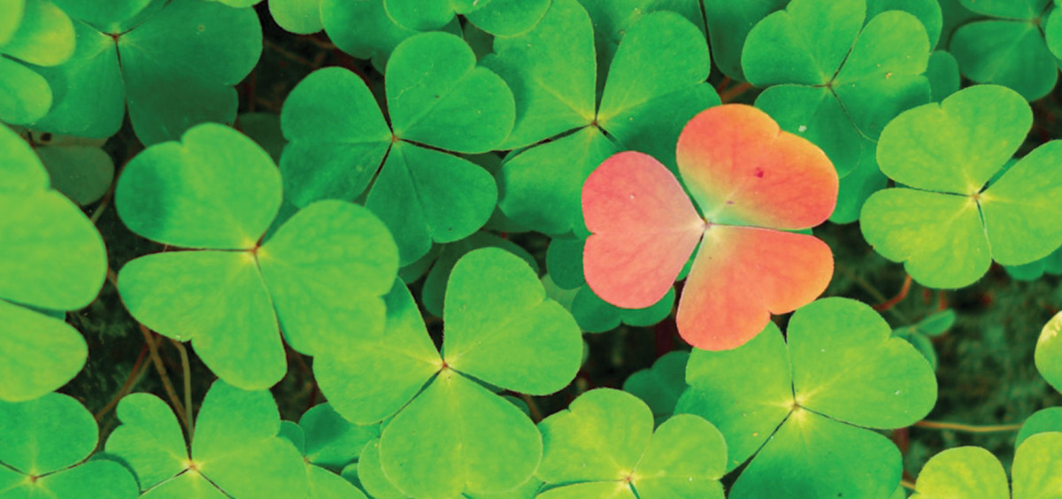 Embrace Neurodiversity in your Team